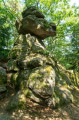 Sur le chemin des druides Sur le chemin des druides