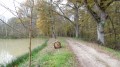 Boucle au cœur de la Sologne par le GRP® de châteaux en châteaux... Boucle au cœur de la Sologne par le GRP® de châteaux en châteaux...