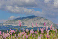 Sur la Montagne de Beure Sur la Montagne de Beure