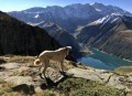 Pic et Col de l'Agnelin et Lac de l'Âne Pic et Col de l'Agnelin et Lac de l'Âne
