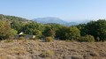 Mouton d'Anou depuis Le Broc retour par Jas Jausserand et Vallon de la Sine Mouton d'Anou depuis Le Broc retour par Jas Jausserand et Vallon de la Sine
