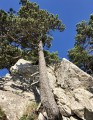 Chamechaude insolite par L'Arche, le Jardin, la Brêche Arnaud et le Canyon Chamechaude insolite par L'Arche, le Jardin, la Brêche Arnaud et le Canyon