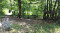 Petite balade sur les hauts d'Essert Petite balade sur les hauts d'Essert