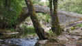 Le Sentier de Zalana-Matra Le Sentier de Zalana-Matra