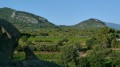 Les Dentelles de Montmirail et ses villages Les Dentelles de Montmirail et ses villages