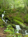 Le Sentier des 5 sens depuis le Col de Jau Le Sentier des 5 sens depuis le Col de Jau