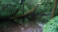 La cascade du Gour Saillant La cascade du Gour Saillant