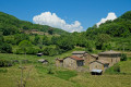 Forêts et landes du Haut Beaujolais Forêts et landes du Haut Beaujolais