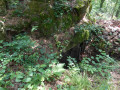 Du plateau de la Lohe au Schletzenburg Du plateau de la Lohe au Schletzenburg