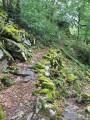 Au-dessus des Gorges de la Dordogne à Nougein Au-dessus des Gorges de la Dordogne à Nougein