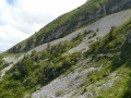 Le Sentier Gobert de Font Froide à la Combe Chaulange Le Sentier Gobert de Font Froide à la Combe Chaulange