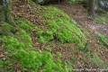 Les Maisons Troglodytes - Rocher du Fantôme (Geisterfelsen) Les Maisons Troglodytes - Rocher du Fantôme (Geisterfelsen)