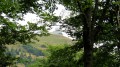 Montée au Grand Ballon depuis Sengern (Guebwiller) par le lac Montée au Grand Ballon depuis Sengern (Guebwiller) par le lac