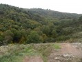 Brocéliande : une forêt légendaire Brocéliande : une forêt légendaire
