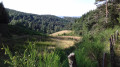 Les sources du Lot Les sources du Lot