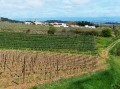 Preixan dans les vignes et les champs Preixan dans les vignes et les champs