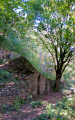 Le Fort Moncey Le Fort Moncey