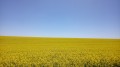 Autour d'Oresmaux Autour d'Oresmaux