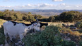 La Bergerie du Défens La Bergerie du Défens