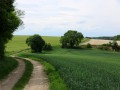 De Chambon à Bonneau, des coteaux à la Vallée de l'Indre De Chambon à Bonneau, des coteaux à la Vallée de l'Indre