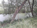 Gallician - Prés du Cailar - Berges du Vistre Gallician - Prés du Cailar - Berges du Vistre