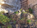 Lagnes - Le Vallon de la Fontaine de l'Oule Lagnes - Le Vallon de la Fontaine de l'Oule