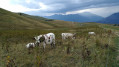 Boucle du Champ Perouze à LaToussuire Boucle du Champ Perouze à LaToussuire