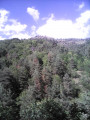 Boucle dans la vallée de l'Agueneyre à partir de Rochepaule Boucle dans la vallée de l'Agueneyre à partir de Rochepaule