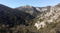 Forêt de Cèdres, Combe du Sautadou et le Portalas Forêt de Cèdres, Combe du Sautadou et le Portalas
