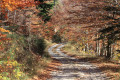 Le Suc de Sara Le Suc de Sara