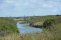 Mer et marais en Forêt d'Olonne Mer et marais en Forêt d'Olonne