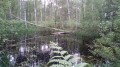 La Forêt de la Claye La Forêt de la Claye