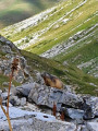 Tour du Mont Roup Tour du Mont Roup