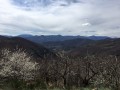 La Montagne Sainte-Marguerite - en Cévennes Ardéchoises La Montagne Sainte-Marguerite - en Cévennes Ardéchoises