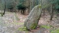 La tournée des mégalithes en Forêt de Floranges La tournée des mégalithes en Forêt de Floranges