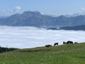 Le tour du plateau du Semnoz Le tour du plateau du Semnoz