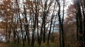 Le Chemin des Mûres par la retenue de la Bancalié Le Chemin des Mûres par la retenue de la Bancalié