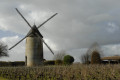 Petite randonnée au coeur de la campagne à Tillières (Sèvremoine) Petite randonnée au coeur de la campagne à Tillières (Sèvremoine)