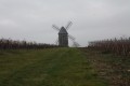 Un tour dans les forêts autour de Marignac et du côté du Château d'Ardennes Un tour dans les forêts autour de Marignac et du côté du Château d'Ardennes