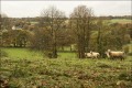 La boé La boé