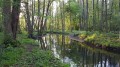 La Nouvelle Thève à travers bois La Nouvelle Thève à travers bois