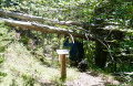 Sentier botanique de Furmeyer Sentier botanique de Furmeyer