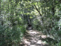 Une boucle dans les bois à Montberon Une boucle dans les bois à Montberon