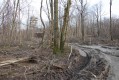 De Berru à Nogent : les bois de Berru De Berru à Nogent : les bois de Berru