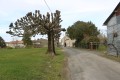 La campagne de Paizay-le-Chapt et le Bois de la Griffière La campagne de Paizay-le-Chapt et le Bois de la Griffière
