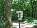 Forêt de la Menère - Besançon - Tilleroyes Forêt de la Menère - Besançon - Tilleroyes