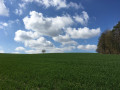 Champignol-lez-Mondeville en panoramique Champignol-lez-Mondeville en panoramique