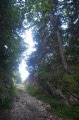 Saint-Nizier-du-Moucherotte - Lans-en-Vercors Saint-Nizier-du-Moucherotte - Lans-en-Vercors