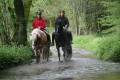 Balade de pleine nature, à cheval, au Pays de Cunlhat Balade de pleine nature, à cheval, au Pays de Cunlhat