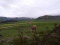 Boucle autour de la vallée de Chaudefour et du Puy de Sancy Boucle autour de la vallée de Chaudefour et du Puy de Sancy
